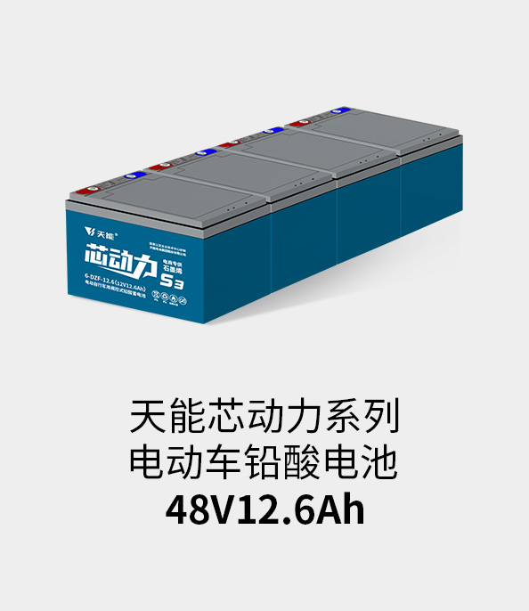 拉霸电池48v12ah