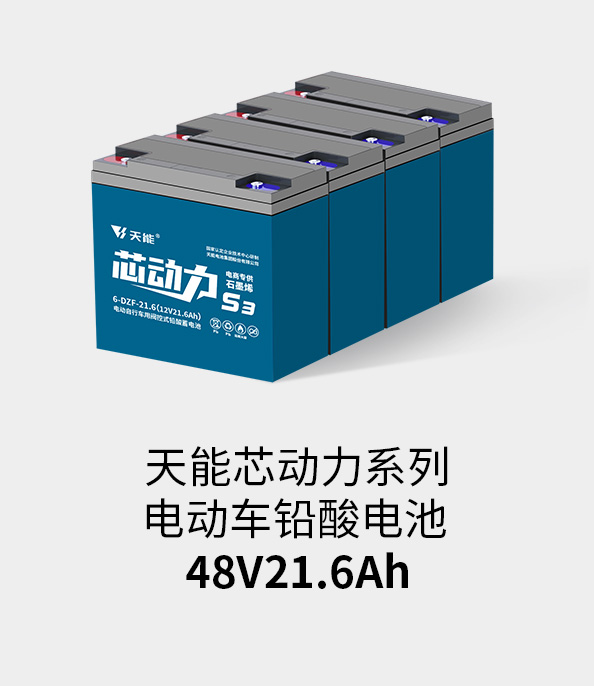 拉霸电池48v20ah