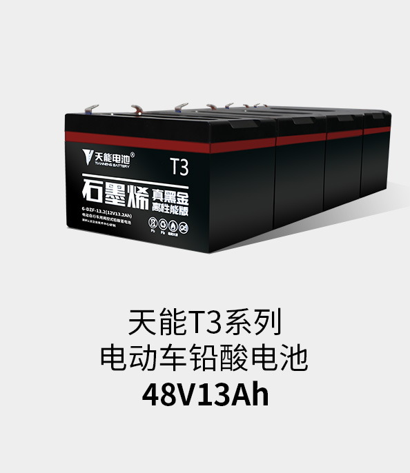 拉霸T3系列48v13ah