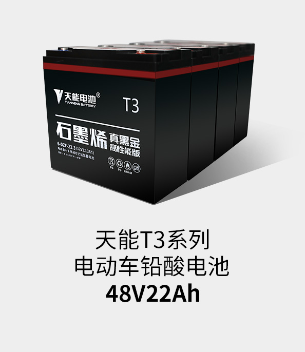 拉霸T3系列48v22ah