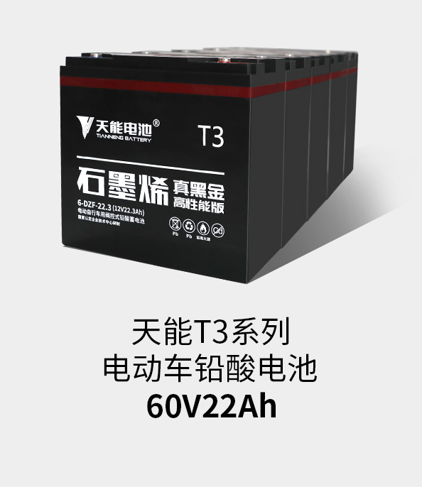 拉霸T3系列60v22ah