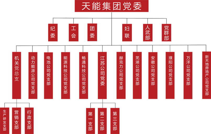 拉霸建团党委组织架构